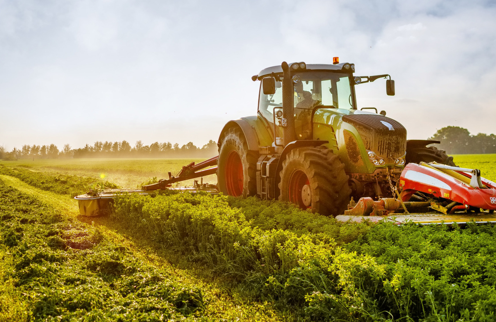 tractor-makes-harvesting-hay-animals-farm